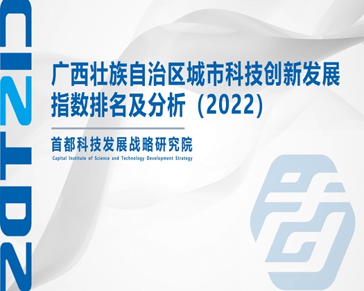 www嫩多毛大乳com【成果发布】广西壮族自治区城市科技创新发展指数排名及分析（2022）